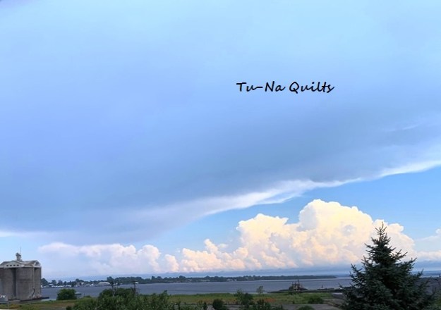 tunaquilts 9a
